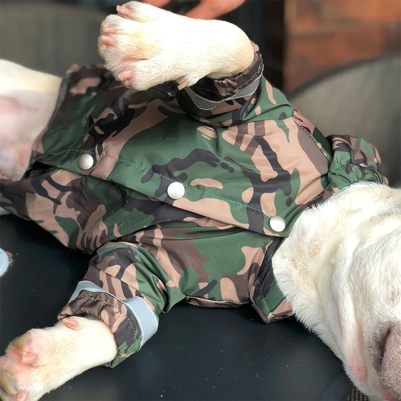 Comprar Bulldog Francés cinta reflectante chubasquero ropa para perros pequeños Chihuahua yorkkie sudaderas a prueba de agua Envío Directo PC0889