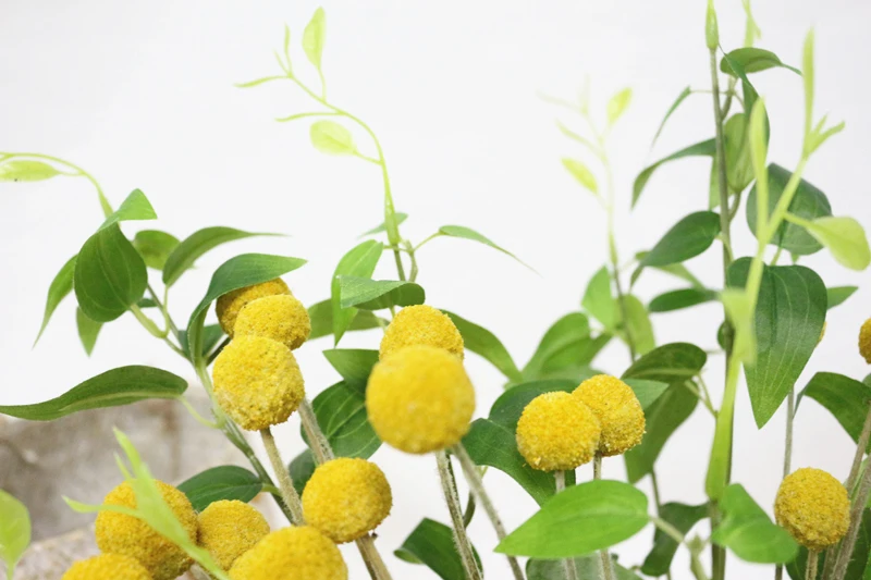 JAROWN Natural Dried Flowers Gold Ball Eternal Flores For Wedding DIY Bouquet Decorations Home Flower Arrangement Art (12)