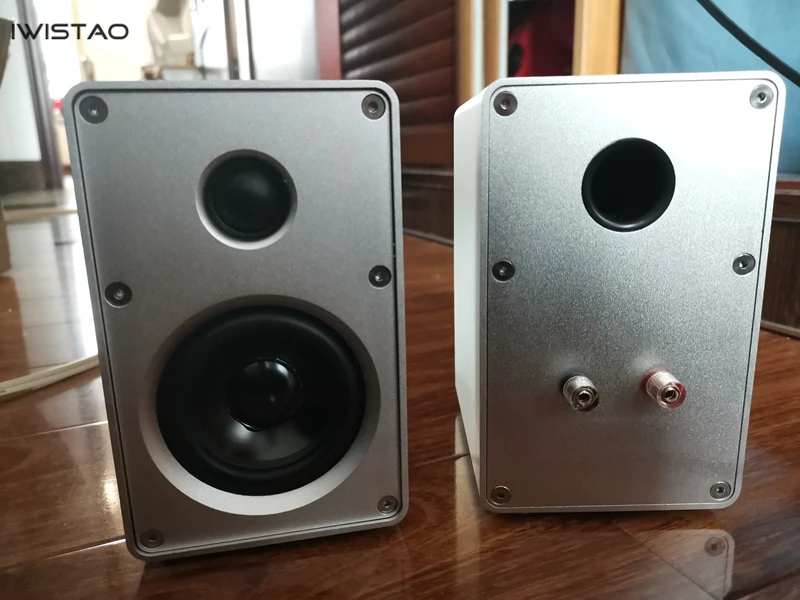 IWISTAO HIFI 2 сторонний 3 дюймовый динамик цельноалюминиевая 1 пара книжная полка