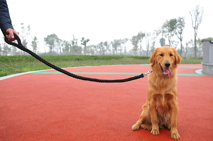 Высококачественный двойной черный дополнительный для крупных больших собак плетеный нейлоновая цепь поводки собачий ошейник для золотистого ретривера питбуля для тренировок и прогулок поводок