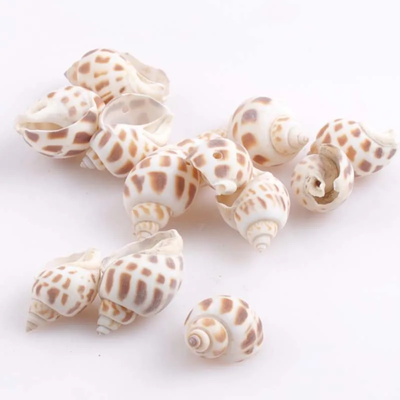 40 шт. бусины из ракушек 24 45 мм|beads beads|beads loosebeads natural |