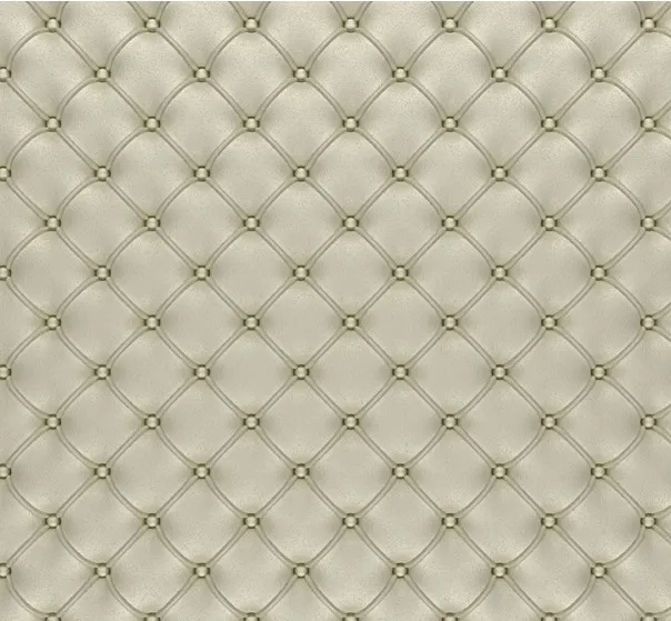 10*10ft Vinyl Computer Painted Sofa texture Studio