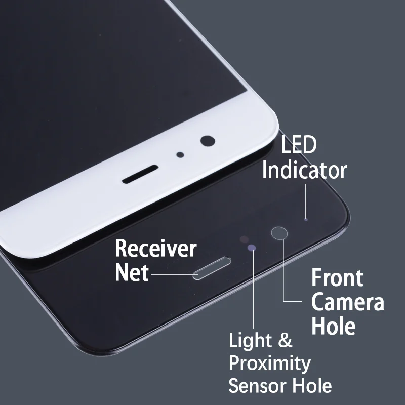 P10-PLUS-1