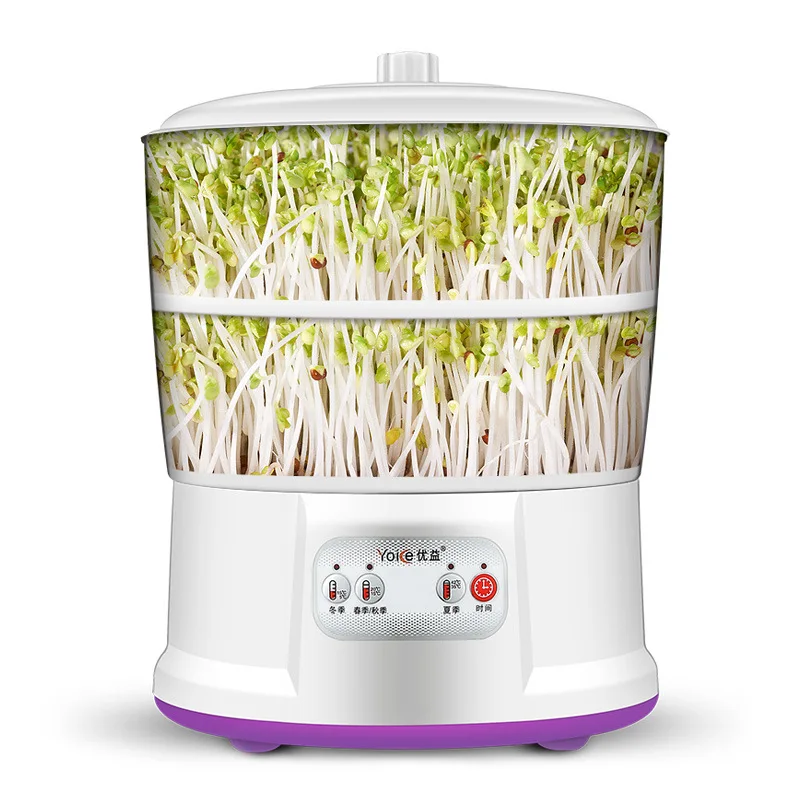 Bean Sprout Growing Machine Full automatically Bean Sprouting Machine