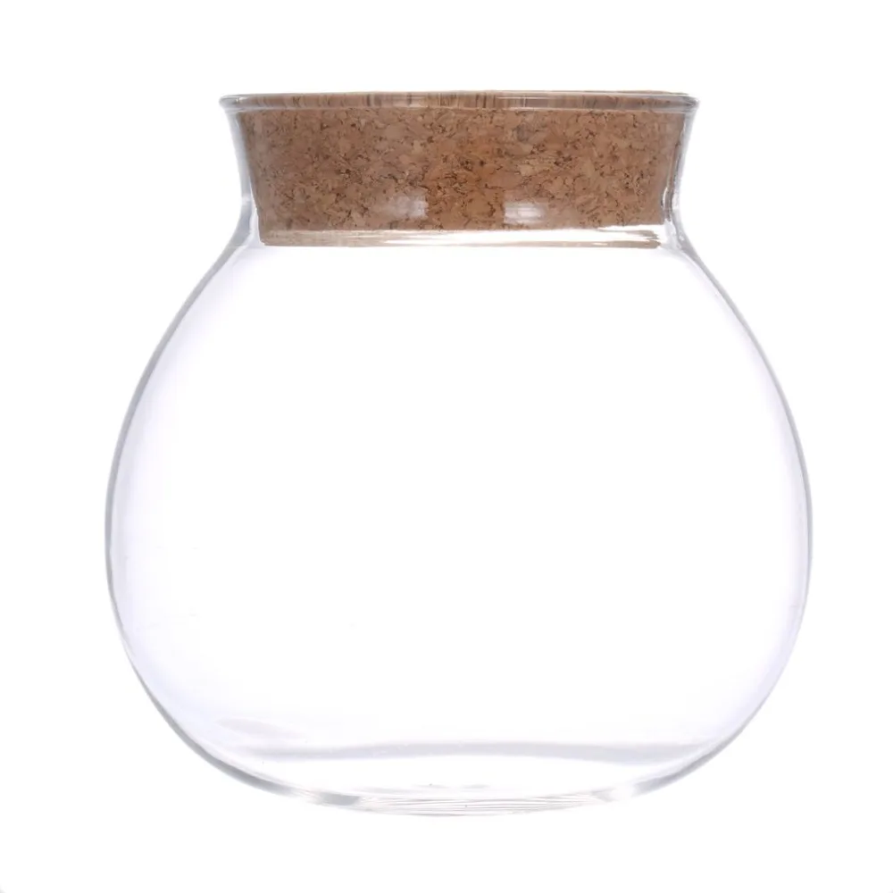 

Duolvqi New Arrival Cute Design Tea Coffee Sugar Glass Canisters Flower Plant Vase Pot Home Decoration Party Transparent Beauty