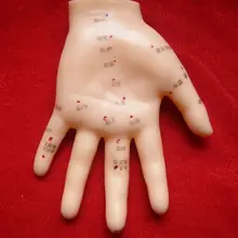 Модель иглоукалывания человека, медицинская модель для рук