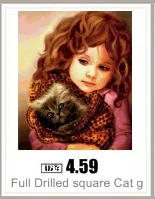 AeProduct.getSubject ()