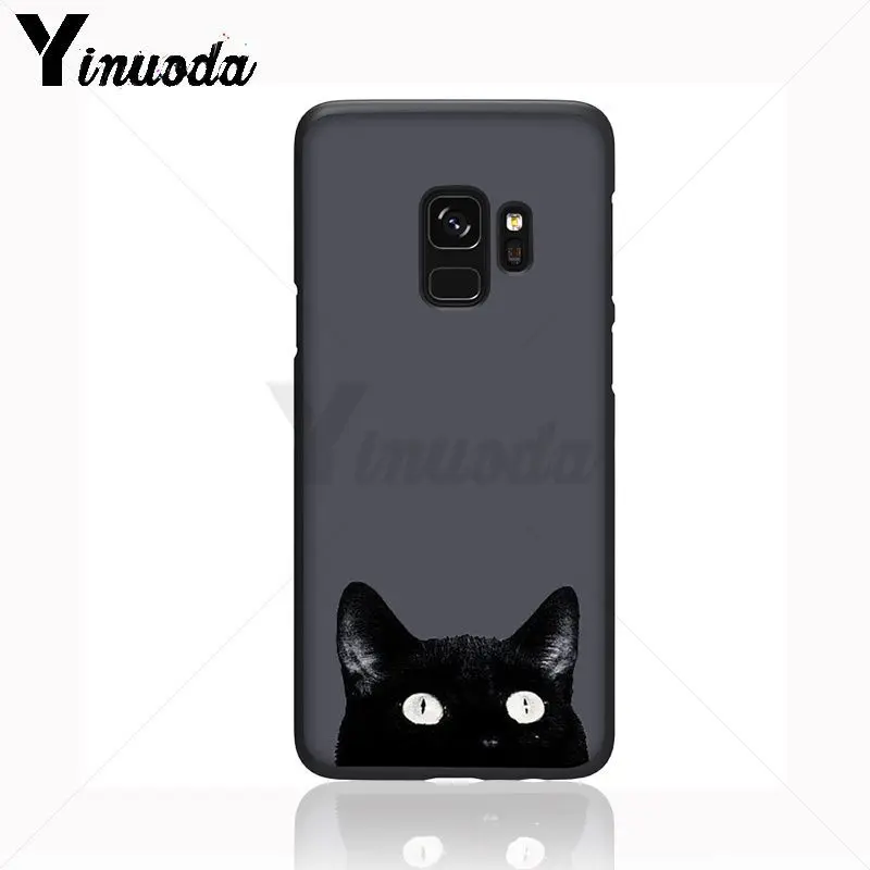 Black Cat Staring Eye