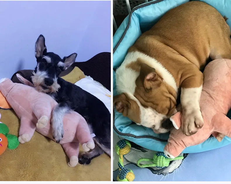 4484942624_2056722074