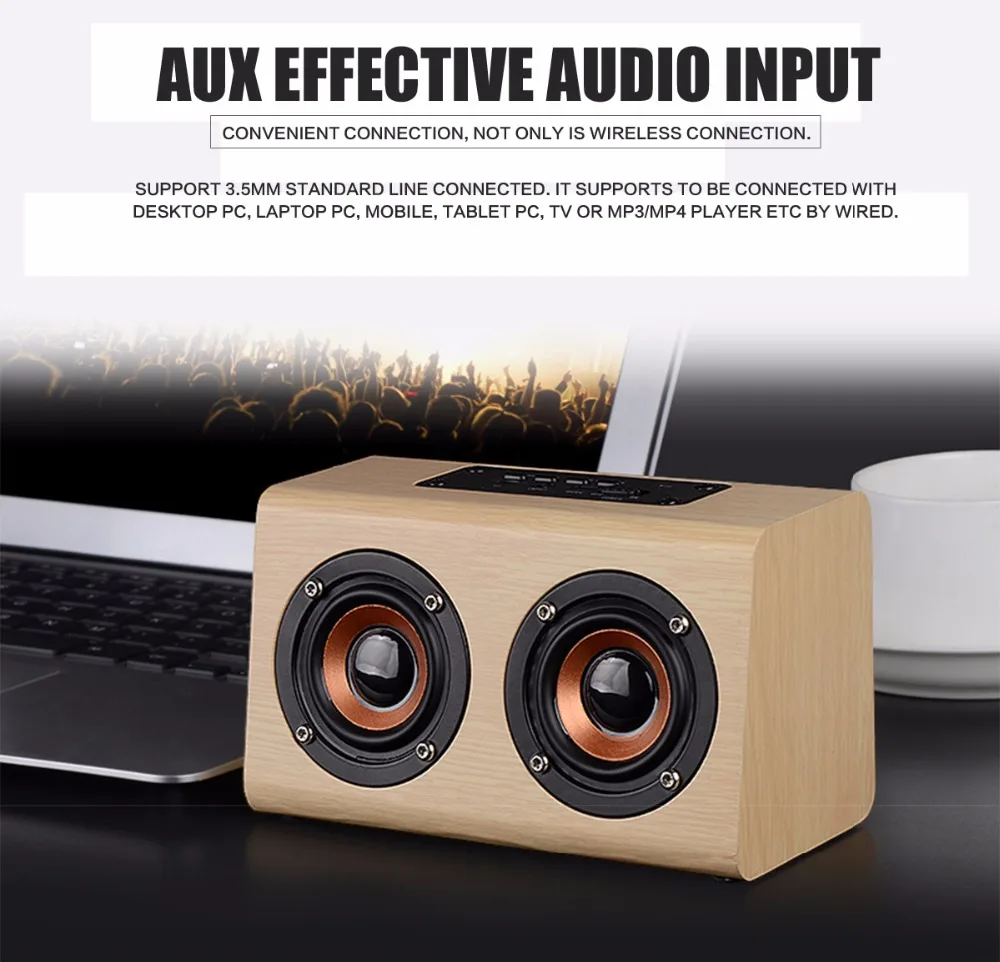 11mic speaker