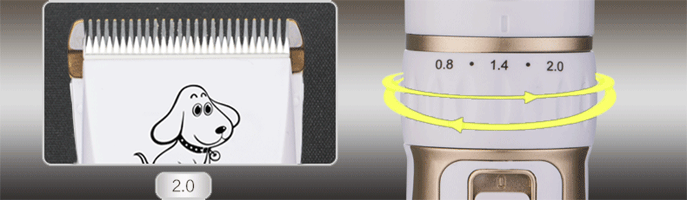 BaoRun P3 Professional Rechargeable Pet Electric Hair Clipper Cutter with Grooming Kit