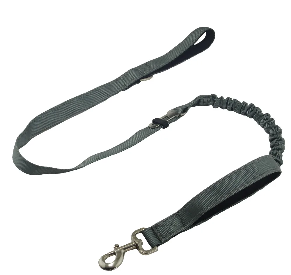 grey dog leash