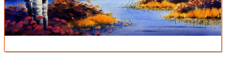 Birch bay river scenery free shipping full diamond painting mosaic pattern 5d rhinestone embroidery textile cross stitch crafts1821_06