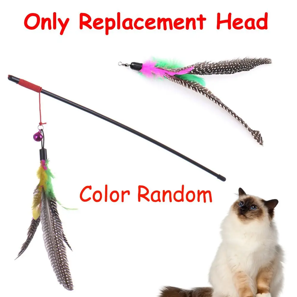 

Color Random Soft Dangle Pet Supplies Cat Toys Replacement Head Play Training Feather Refill Interactive for Without Rod