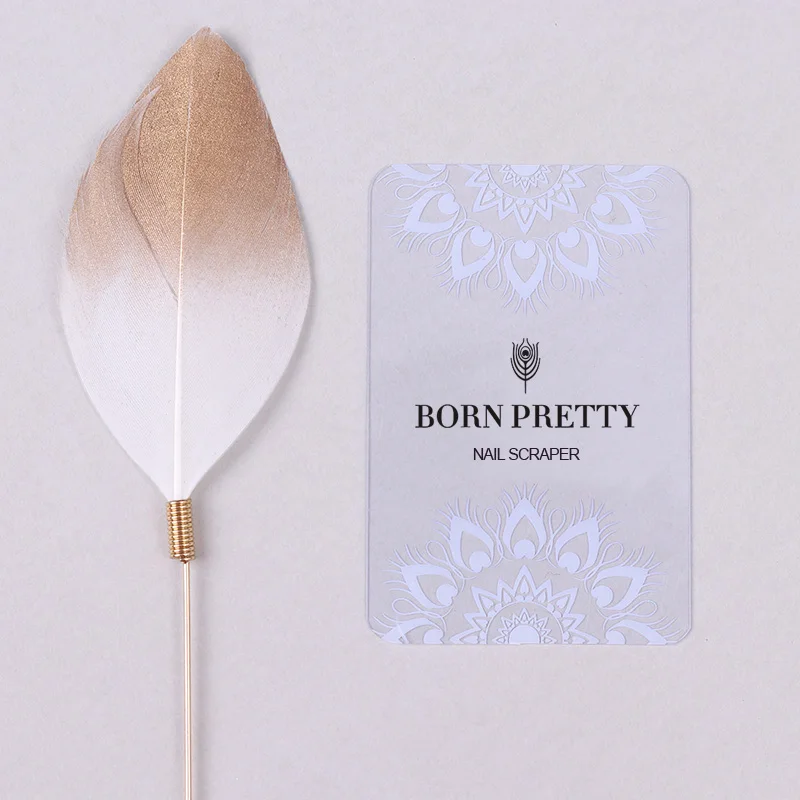 HTB1S2StgvNNTKJjSspkq6yeWFXaB