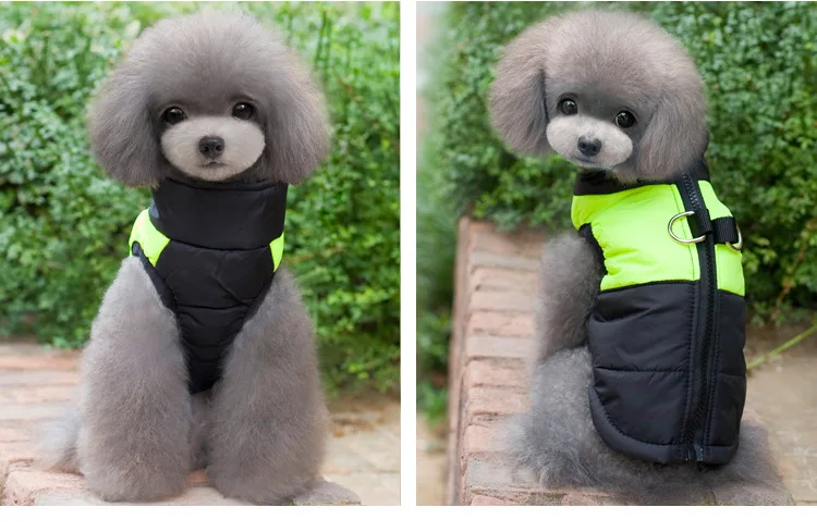 HTB1aQ7atnlYBeNjSszcq6zwhFXag