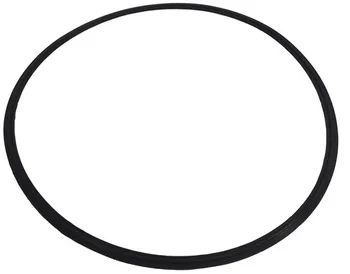 

12 inch Tri Clamp FPM FKM Gasket