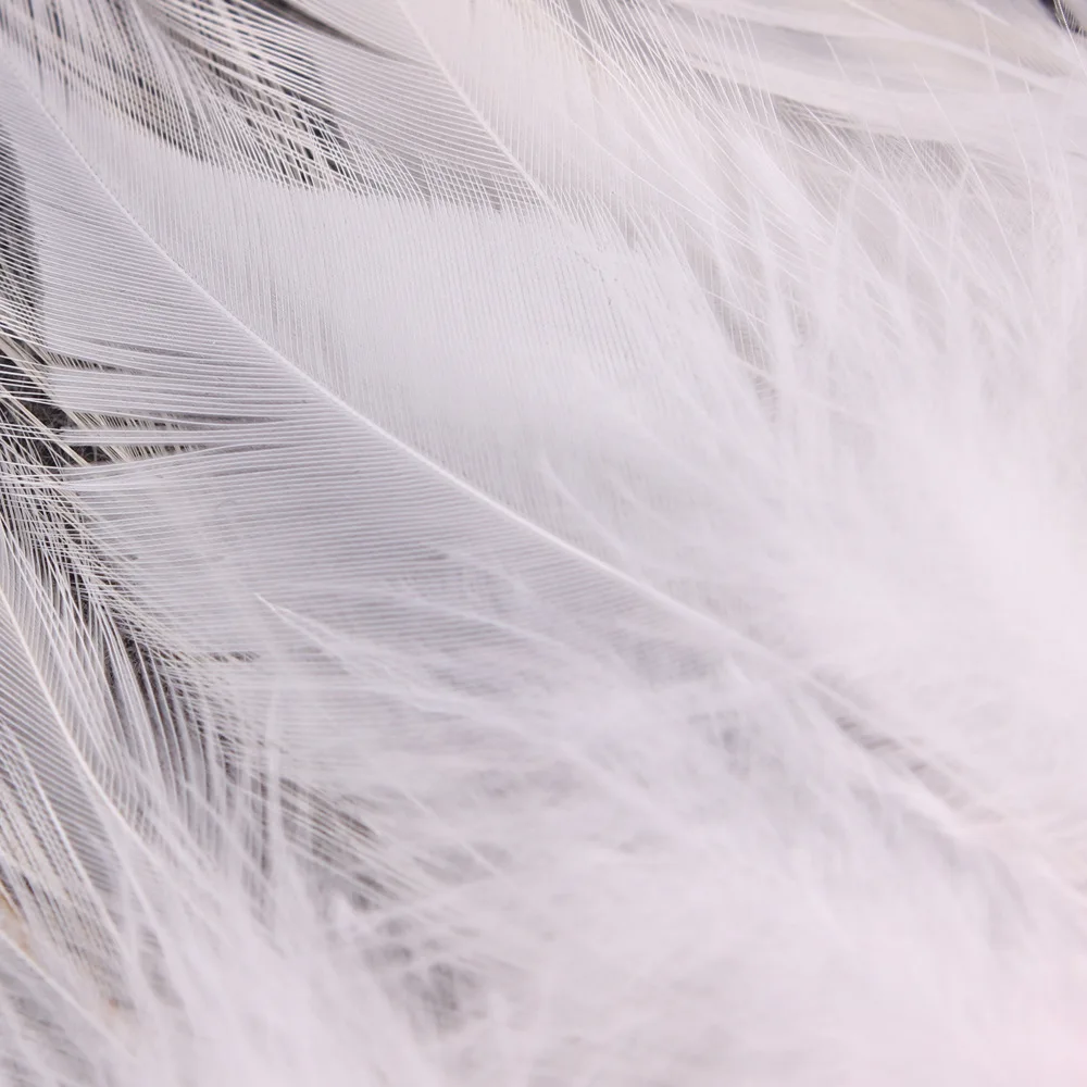 3907663267_1330256901