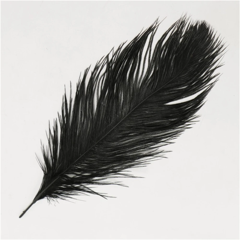 черные перья. черный перу. перья страуса черные. черный перу. красивые перья птиц.