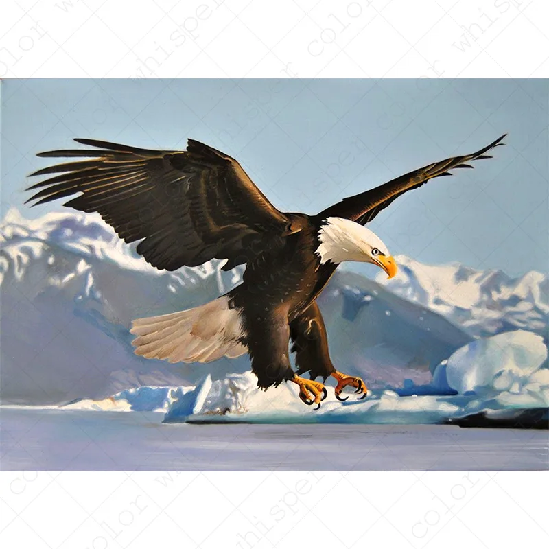 

Diamond Painting Full Square 5D DIY "Eagle Fight Sky"daimond Painting Embroidery Cross Stitch Rhinestone Mosaic Art Gift LE00611