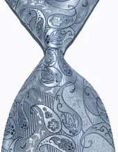 Brand New Classic Silver Tie Paisley Jacquard Woven 100% Silk Fashion Business Wedding Party Men’s Ties Necktie