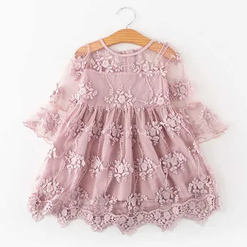 

Children Clothing Spring Summer Baby Girl Clothing Party Princess Dress Lace Short Sleeve Flower Embroidery Design Girl Dress