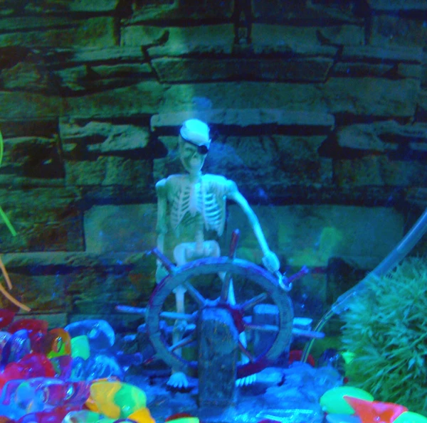 Hot Aquarium Decoration Skeleton on Wheel Fish Tank Ornament Decor for Aquarium Tank W75 Great Gif