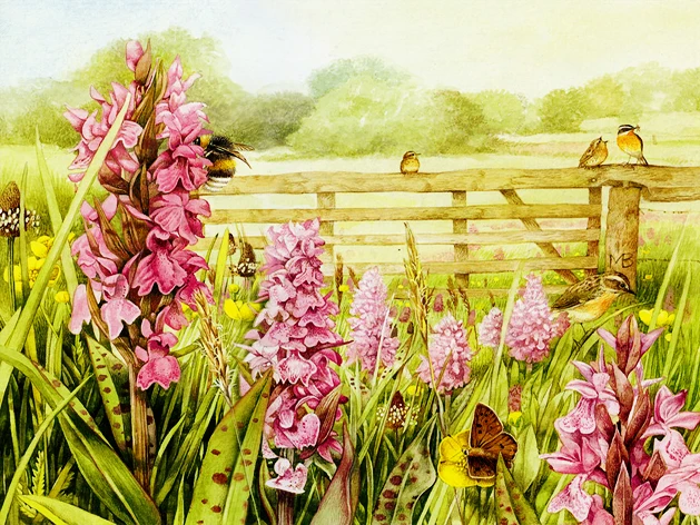 diamond embroidery bee flowers and birds painting plastic crafts butterfly 5d diamond embroidery garden view diamond - Embroidery Garden diamond embroidery bee flowers and birds painting plastic crafts butterfly 5d diamond embroidery garden view diamond - Embroidery Garden