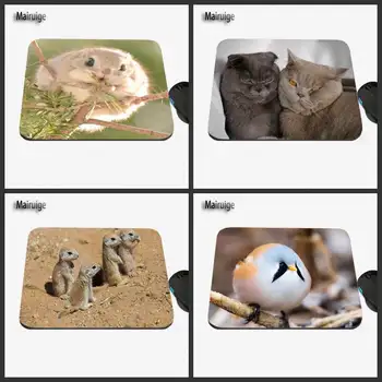

Custom 200/220/250 Animal Cat and Cute Squirrel Pattern Game Mouse Pad for Laptop Player Speed Control Rectangular Table Mat