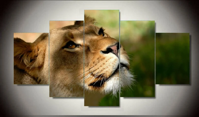 Lion Within A Frame Home Decor Los Elephants Etc Custom Wallpaper For Walls Mural Home Decor Non Woven Waterproof Lifelike Lions Wall Paper