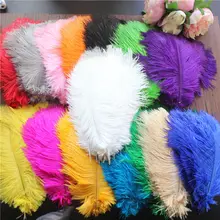 Free shipping / 10 - PCS full natural ostrich feather embellished with feathered feather decoration/20-25cm faux feather embellished solid tee