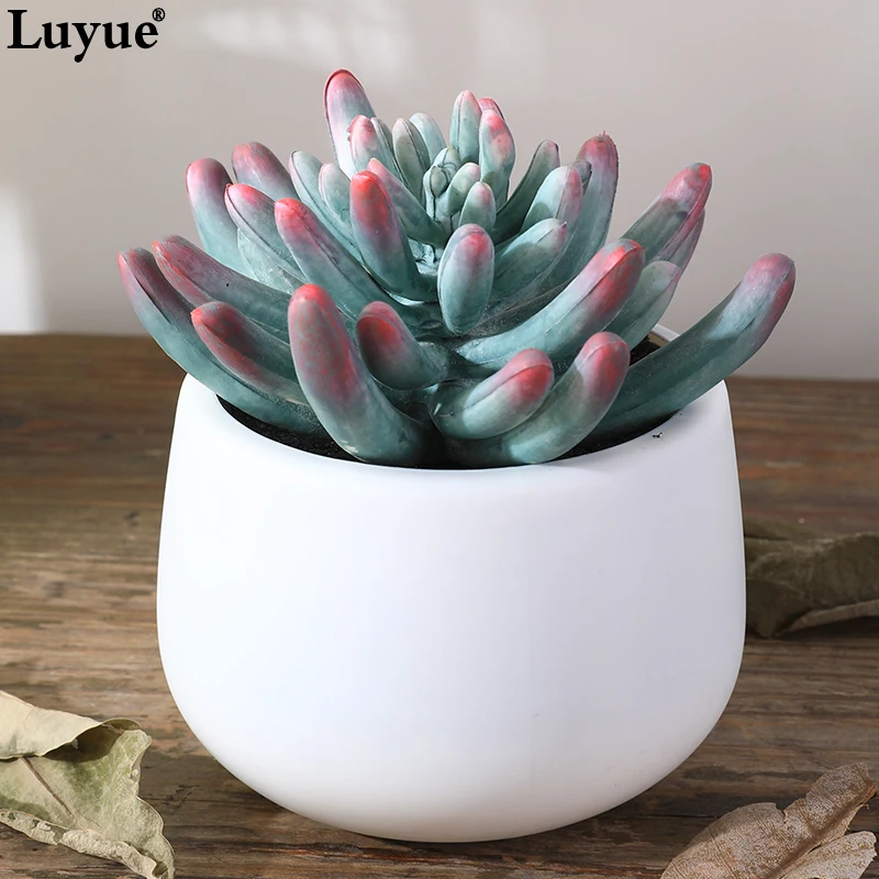 Luyue Balcony Fleshy Garden Vase Artificial Flower Plant Red gray flowers bonsai Noble for Hotel Shop Home balcony decoration Luyue Balcony Fleshy Garden Vase Artificial Flower Plant Red gray flowers bonsai Noble for Hotel Shop Home balcony decoration