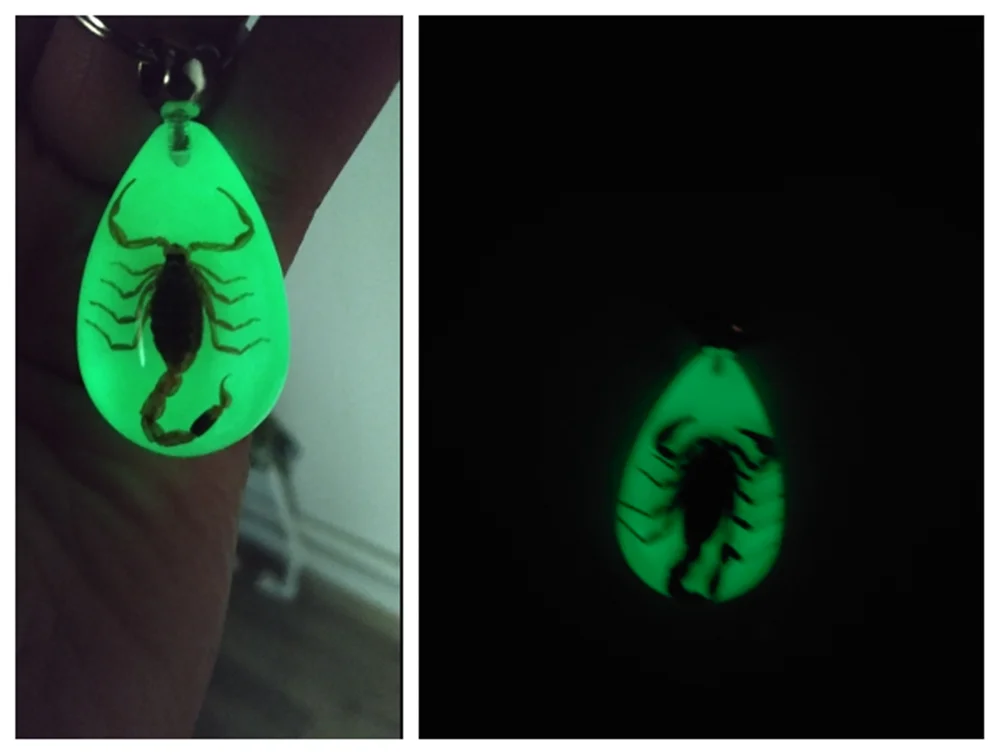 Car motorcycle light insect keychain scorpion key ring for Honda Jade FCV Crider NSX-GT N-One GEAR FCEV