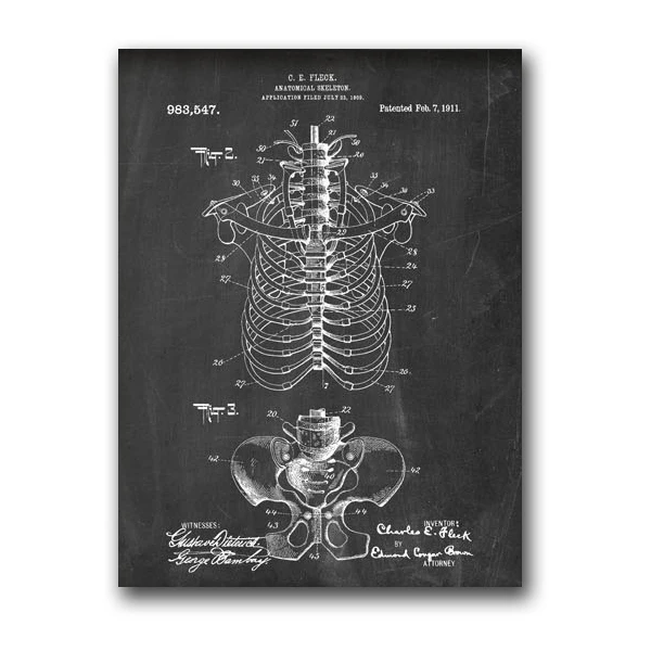 Анатомический скелет человека, настенная живопись на холсте, винтажные плакаты и принты, медицинский студенческий подарок, декор для офиса - Цвет: PH2231