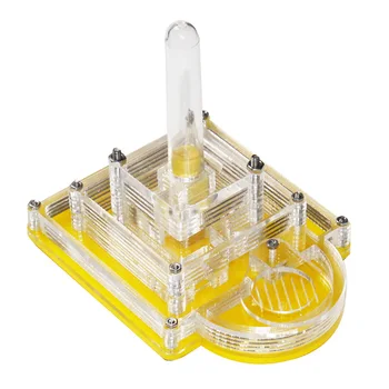 

New Pyramid Ant Farm Acrylic Ants Nest with Moisture Area Granja de Hormigas Nid Fourmis Scientific Observation Class Device