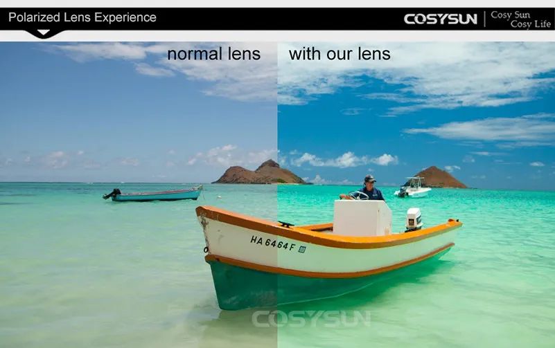 Polarized-Lenses1