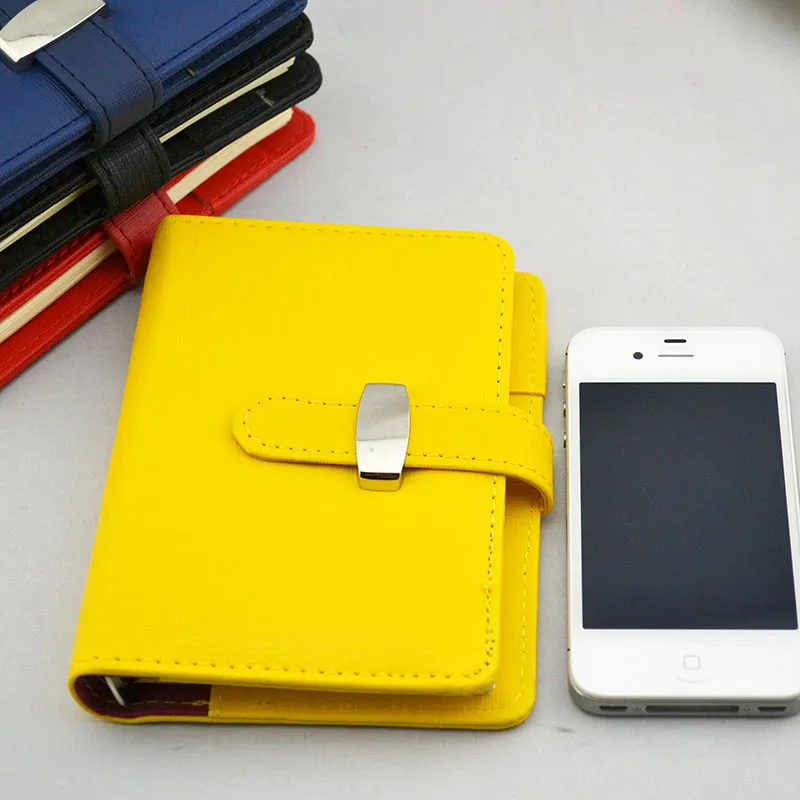 mini journals  (9)