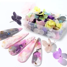 3D очаровательные сушеные цветы для украшения ногтей советы для маникюра натуральные Цветочные наклейки для дизайна ногтей полированные ювелирные изделия JI1505