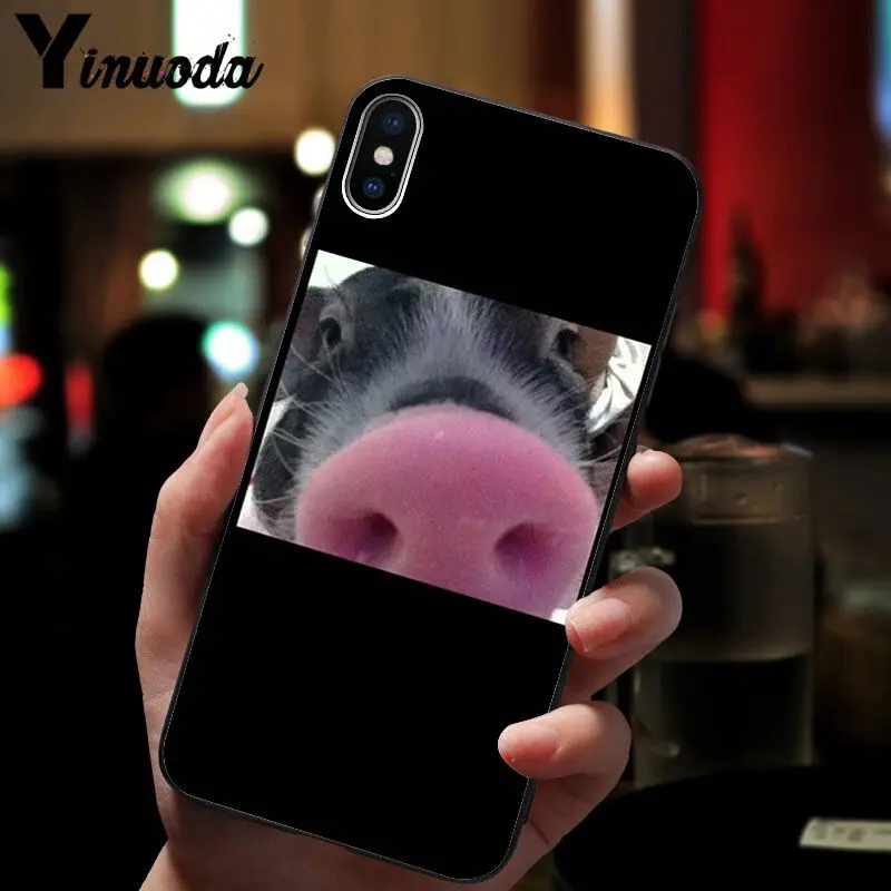 Cute Pig Print 