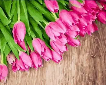 

Morning tulips Framed Flower DIY Painting By Numbers Painting & Calligraphy Canvas Painting Coloring By Numbers 40x50cm