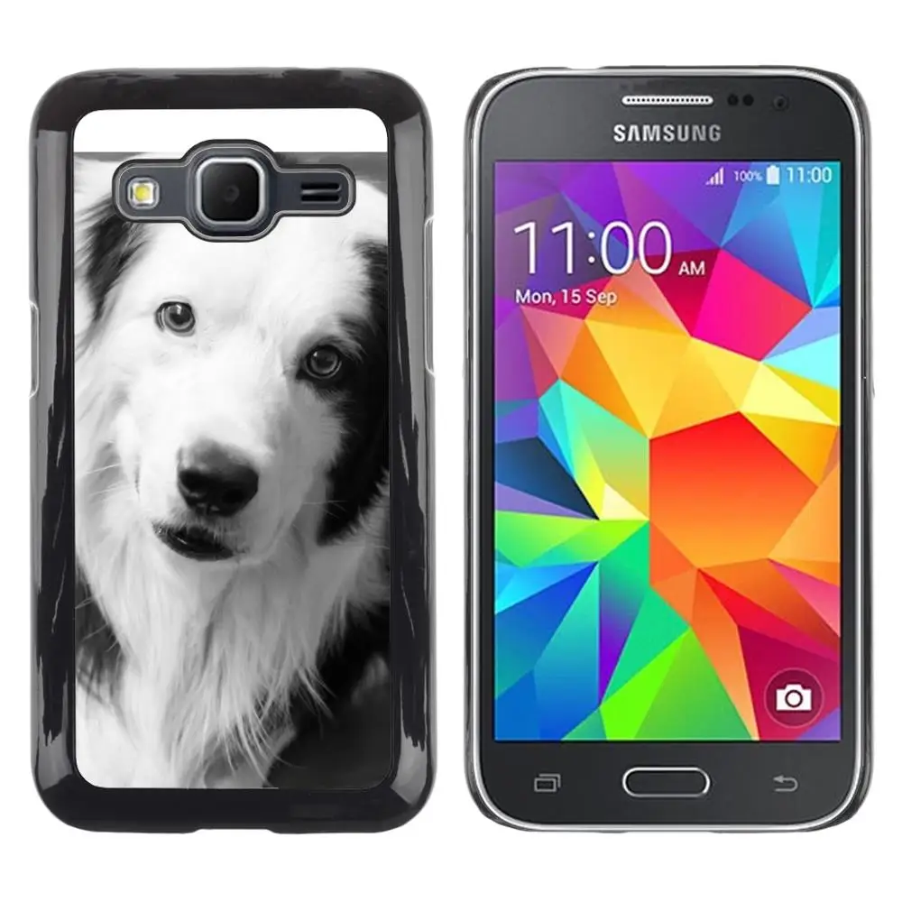 Border Collie Black Dog Breed White-Snap On Hard PC Back Shell Case For Samsung Galaxy Core Prime SM-G360(G360-3005466) |