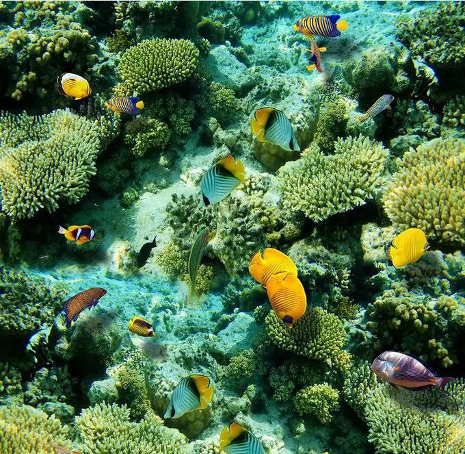 3d flooring wallpaper bamboo fresh wallpaper 3D floor tiles self-adhesive non-slip wear wallpaper 3d for floor