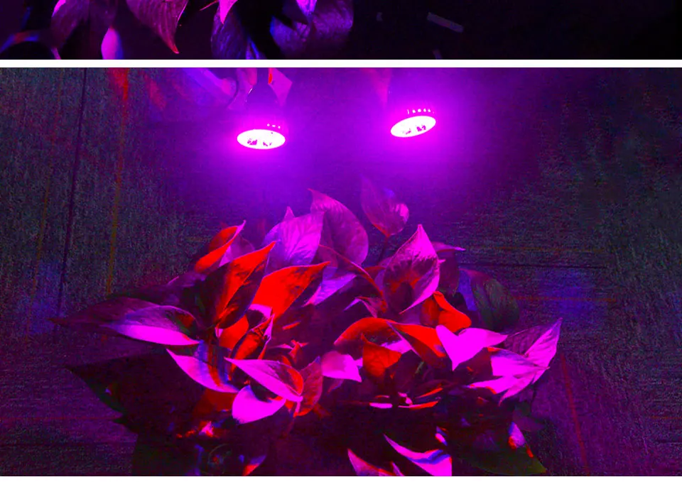 3 Heads LED Grow Light Dual Head 15W Plant Grow Lamp (5)