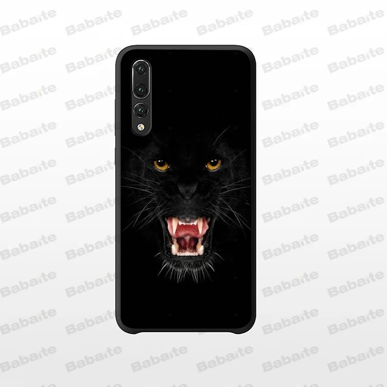 Black Cat Staring Eye