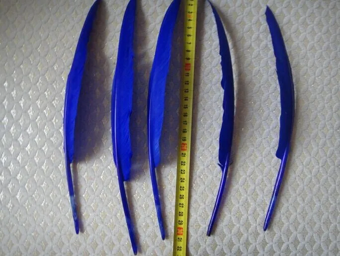 

Wholesale 100pcs goose feather humpback 30-35cm/12-14inch /blue