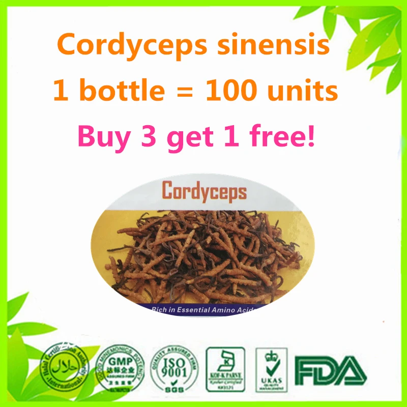 Hot seller 100 units Cordyceps sinensis mushroom (Cs-4) enhance immunity 100% Natural (Buy 3 get 1 free) Hot seller 100 units Cordyceps sinensis mushroom (Cs-4) enhance immunity 100% Natural (Buy 3 get 1 free)