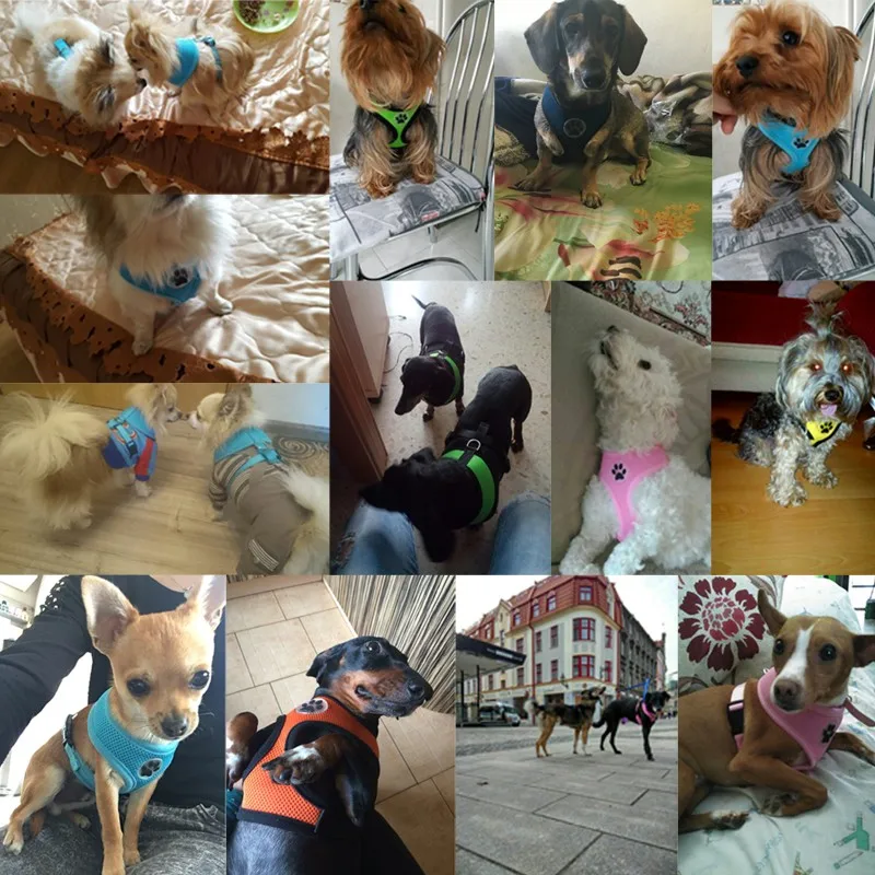 dog soft harness