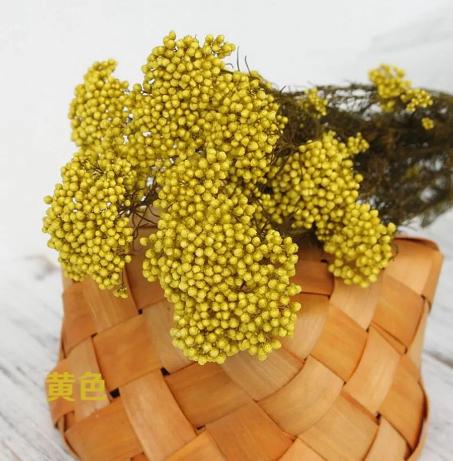 永生米花(爱考拉电子)-黄