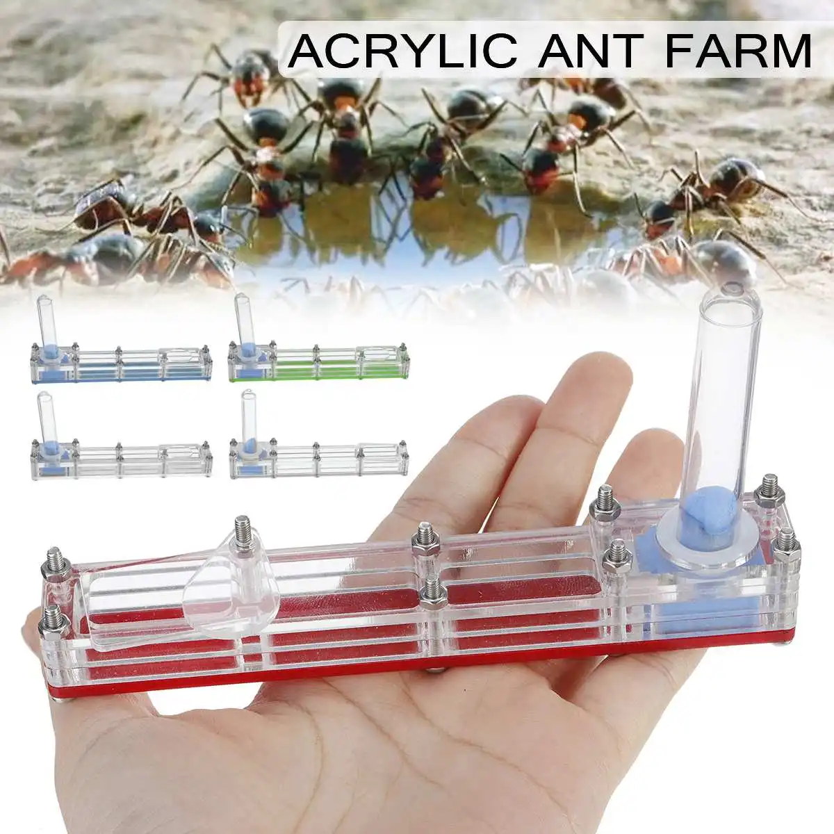 Муравьиная ферма акриловая селекция дисплей коробка ферма насекомое гнездо питомник Новинка среда обитания система кормления декоративные
