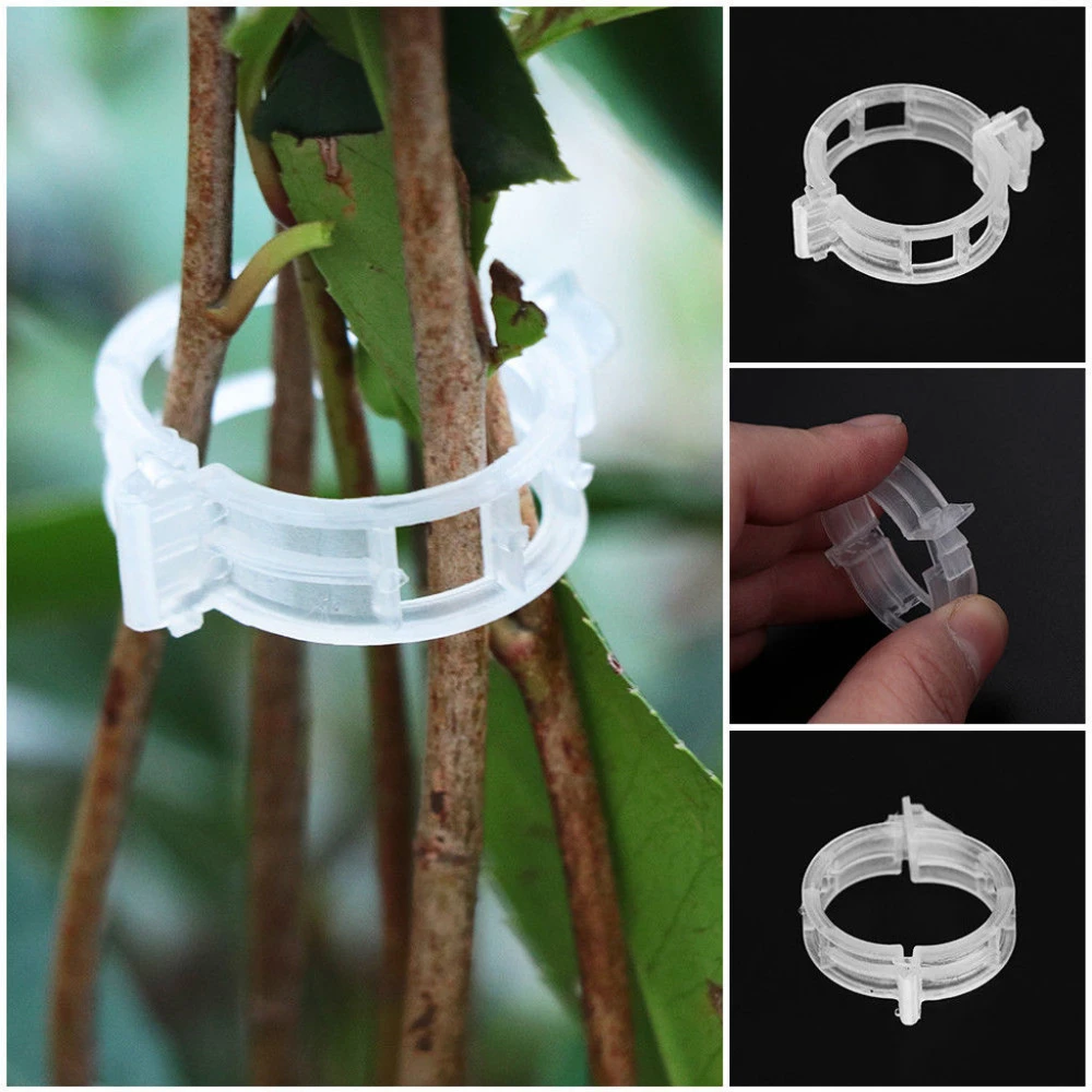 50pcs Plant Support Clips Clamps Garden Tomato Vine Greenhouse Vegetables Tie 50pcs Plant Support Clips Clamps Garden Tomato Vine Greenhouse Vegetables Tie
